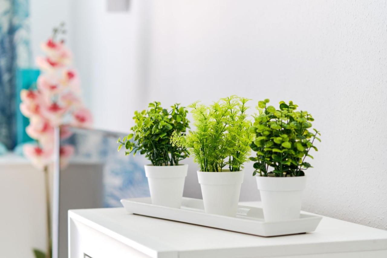 Apartment Eunice أوريويلا المظهر الخارجي الصورة